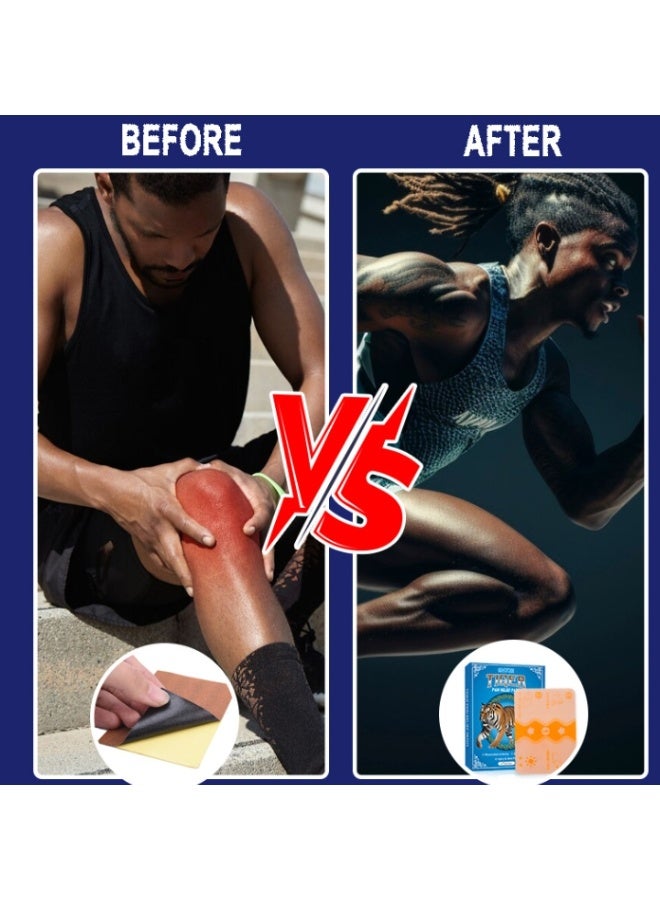 ERAYCEE Tiger Pain Relief Patch Pain Relief Plaster, Arthritis Pain Relief Plaster Chinese Medical Back Muscle Patch for Arthritis & Knee Joints Back Pain 6 Patches Per Box - Image 2